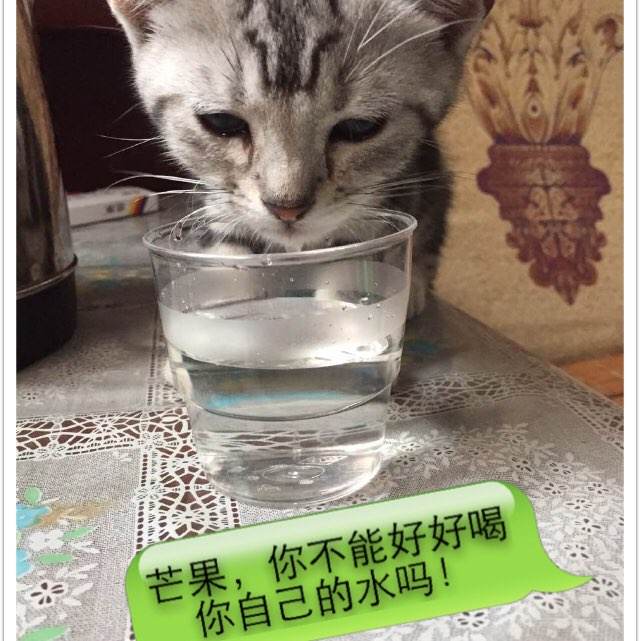 怎么买努纳武特地区身份证